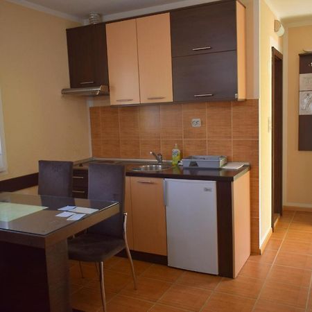 Apartmani Radoicic Josanicka Banja Экстерьер фото